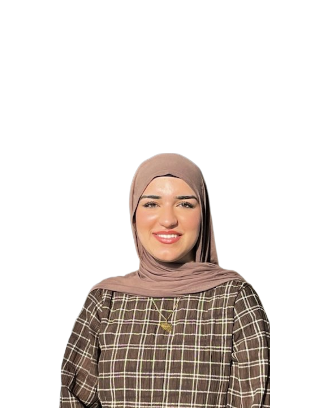 Dewa Safi